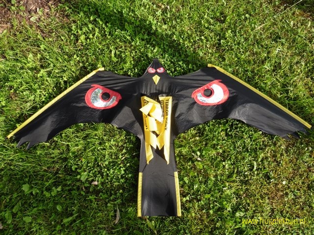De Terror Hawk